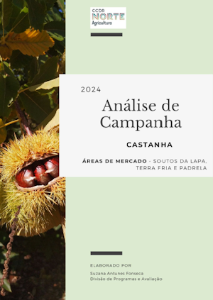 CASTANHA - ANÁLISE DA CAMPANHA 2024